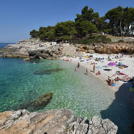 Silver Luxury Apartment